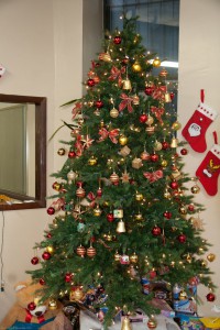IMG_9423-2